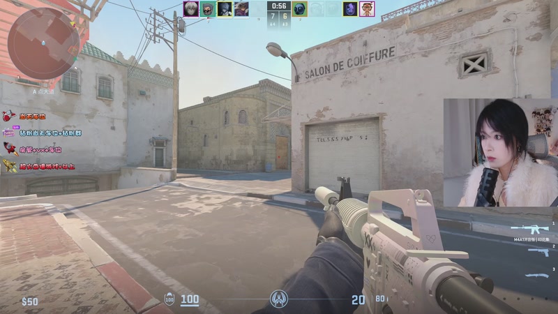 【2025-12-18 17点场】是希文吖丶：好冷好冷！先cs后僵尸毁灭工程