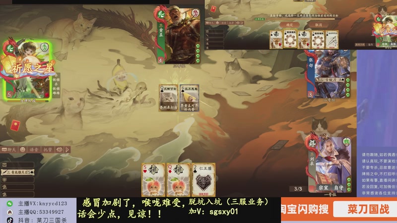 【2025-12-13 14点场】菜刀三国杀：新服国战不蹭车还能玩吗