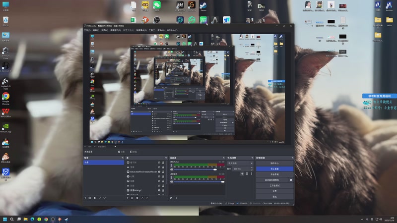 【2025-12-19 08点场】狐狸不太Sao：斗鱼第一赘婿~6696