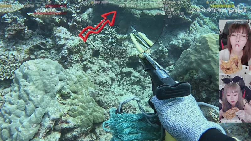 【2025-12-19 06点场】甜心战士：下播力，上午10点再见啦