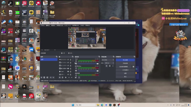 【2025-12-21 16点场】小白鸽WhiteDove：【小白鸽】今天就上钻石！