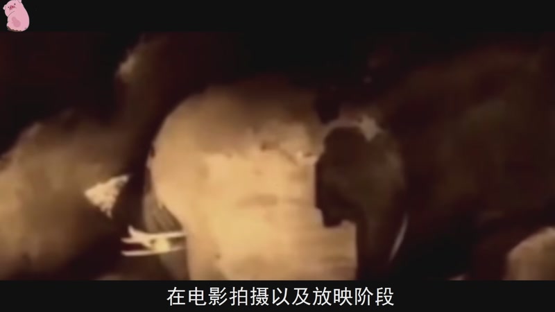 【2025-12-22 22点场】猫叔灬灬：【猫叔】开工大吉~~~