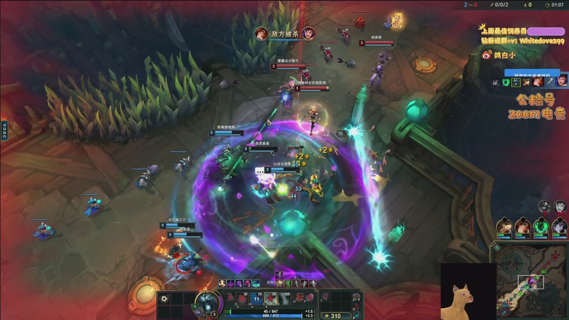 【2025-12-26 22点场】小白鸽WhiteDove：【小白鸽】嘿嘿 下午好~