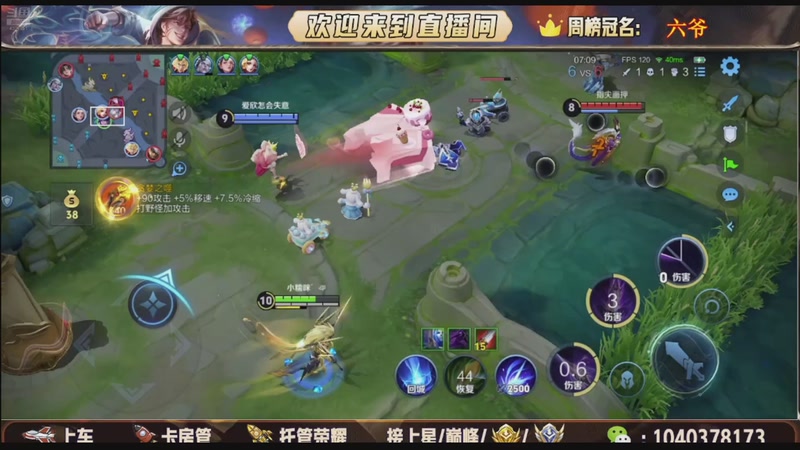 【2025-12-28 19点场】狗蛋吖丶：12.28王者第二届冬日暖心杯决赛