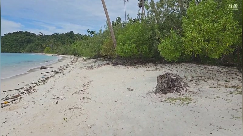 【2025-12-28 13点场】主播大飞牛肉：一人印度尼西亚 纪实直播