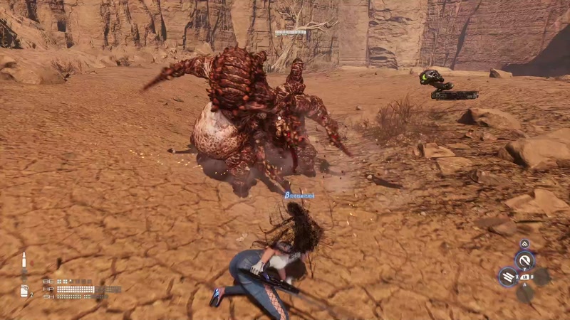 【2025-12-29 14点场】布鲁斯菲尔：孽奇拔最严厉的母上大人