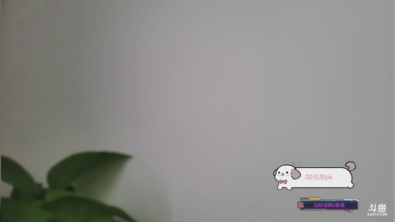 【2025-12-26 13点场】羊咩咩ee:【小奶团】祝强哥生日快乐~