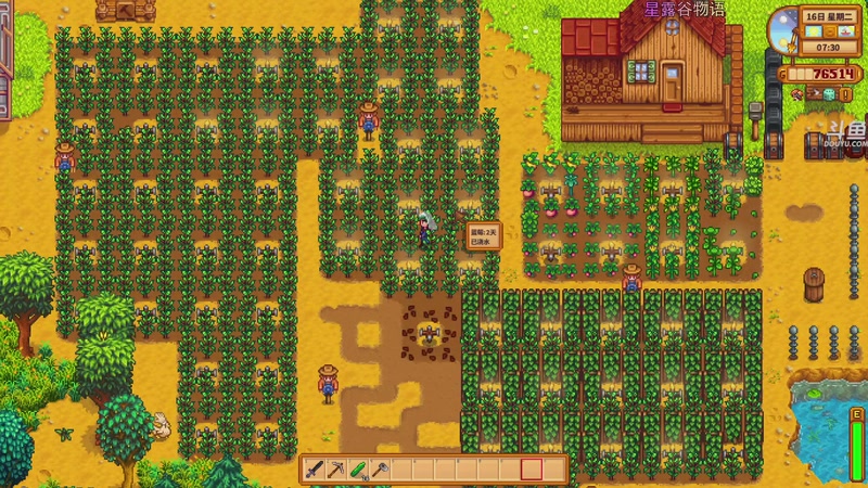 【2025-12-29 20点场】荣耀洋洋：【洋洋】小众，独立，单机游戏！