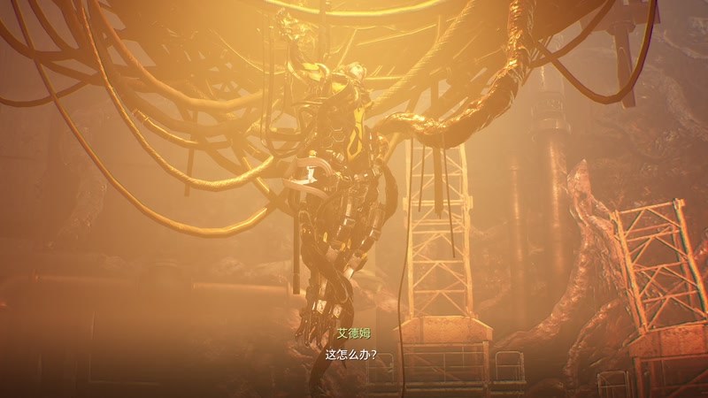 【2026-01-01 16点场】布鲁斯菲尔：你可以是任何人 也可以去任何地方