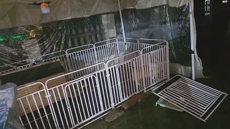 【2026-01-02 20点场】757户外：【非常互娱】757女团S7 娱乐季~