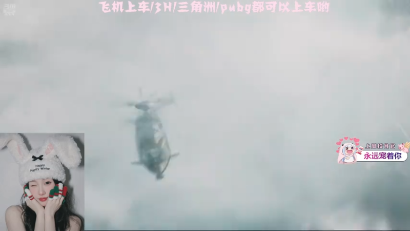【2026-01-01 16点场】小仙瑞：三角洲/pubg 都可（有车位）