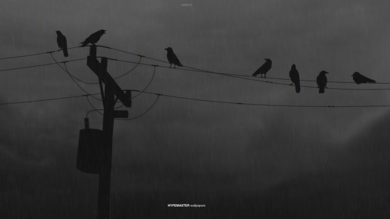 【2026-01-02 19点场】金甲EzNpc：【Zoom电竞】举杯迎新年