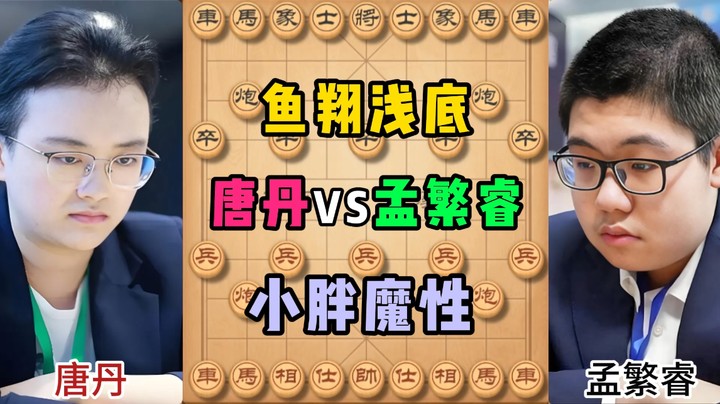 鱼翔浅底，小胖魔性