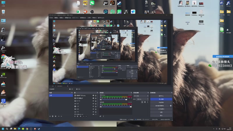 【2026-01-03 09点场】狐狸不太Sao：3号4号播两天~