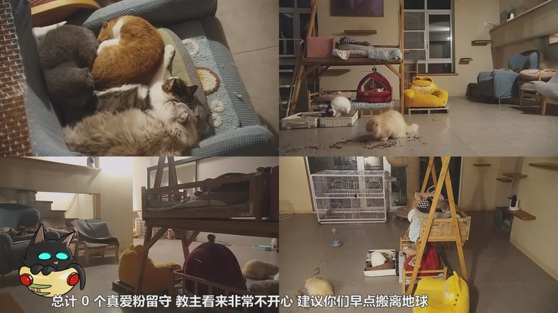 【2026-01-04 01点场】喵放送：喵放送☀️喵呜~