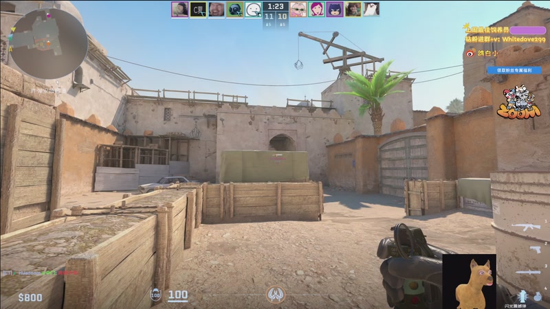 【2026-01-04 01点场】小白鸽WhiteDove：【小白鸽】七家同行运营三星瑟提龙女！