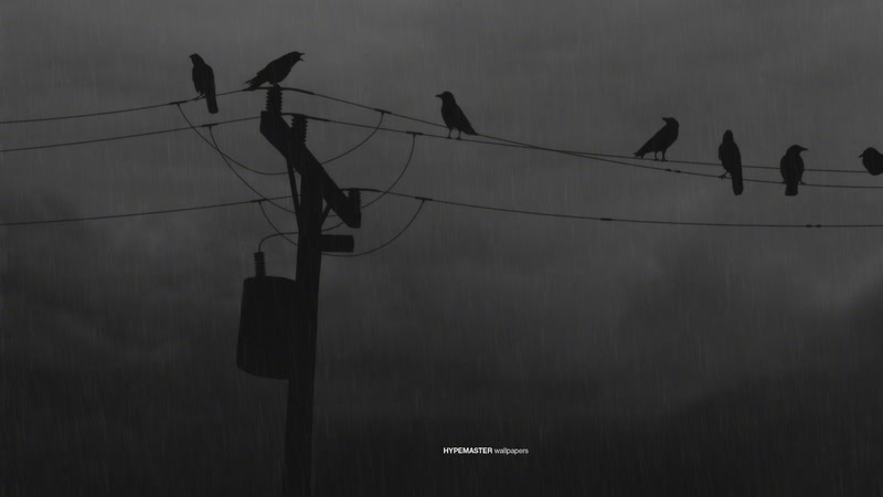 【2026-01-04 19点场】金甲EzNpc：【Zoom电竞】举杯迎新年