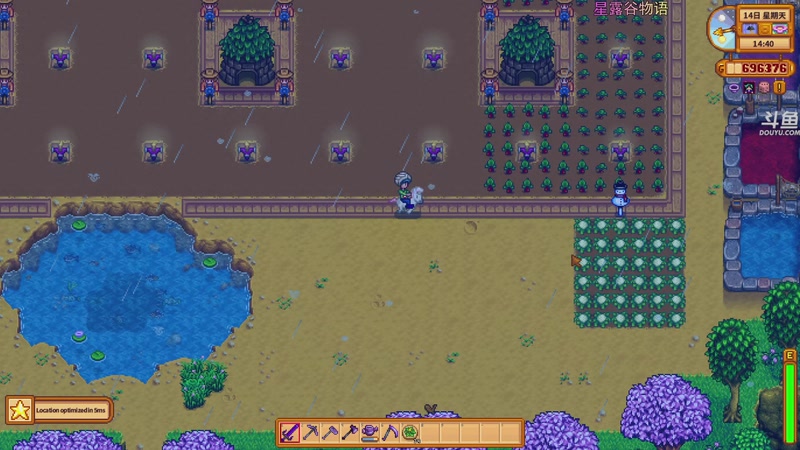 【2026-01-04 21点场】荣耀洋洋：【洋洋】小众，独立，单机游戏！