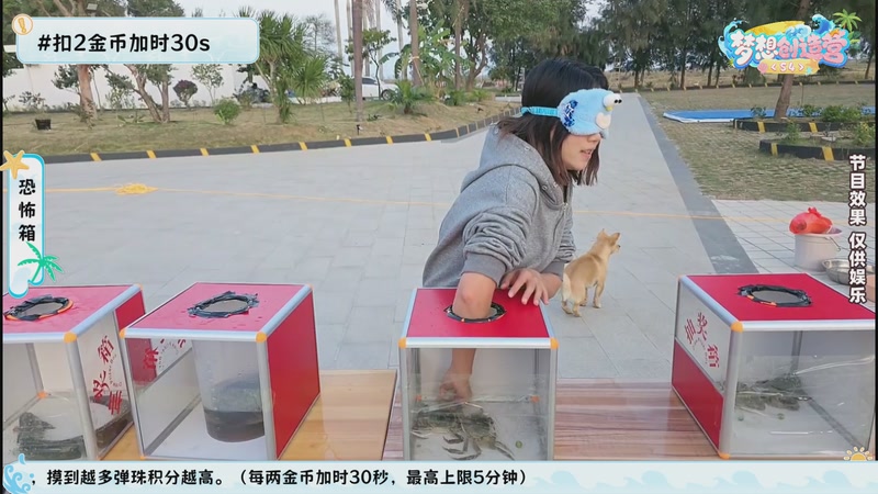 【2026-01-06 17点场】一条小团团OvO：梦想创造营第四季