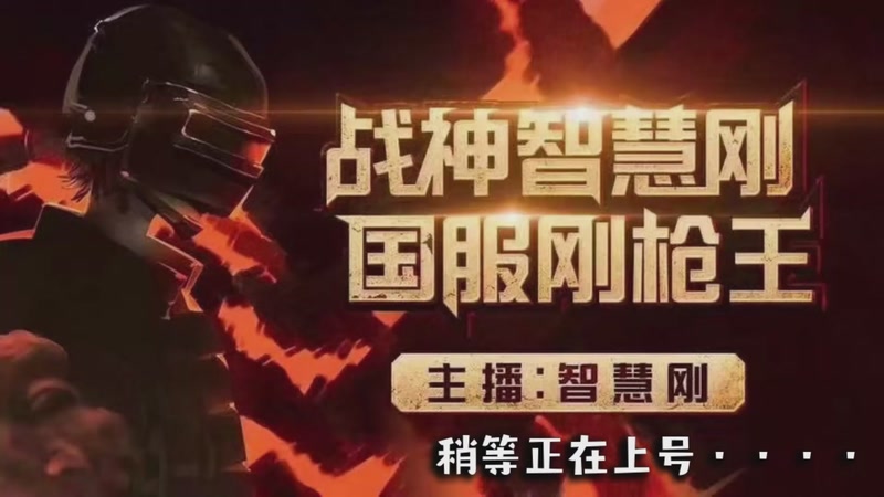 【2026-01-06 14点场】智慧刚丶：【单人四排】精英手册，一手消息~