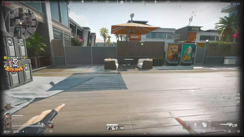 【2026-01-06 16点场】小白鸽WhiteDove：x3 : 来啦来啦~