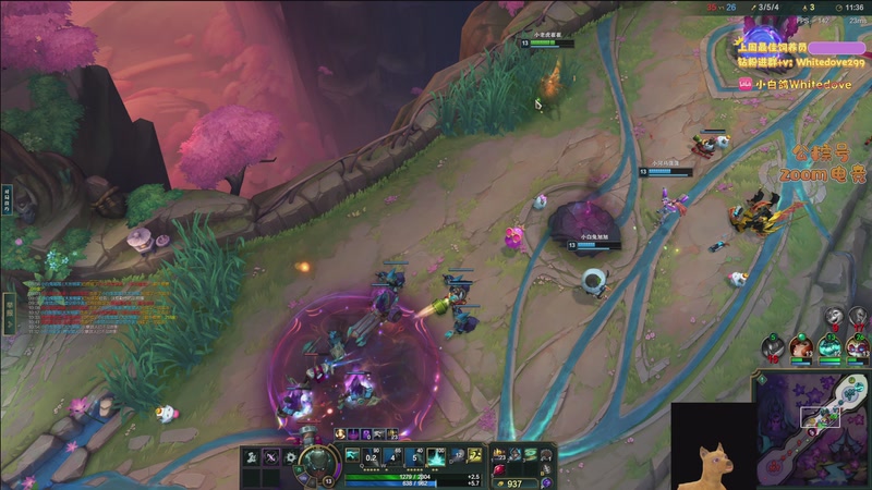 【2026-01-07 01点场】小白鸽WhiteDove：【小白鸽】来啦来啦！