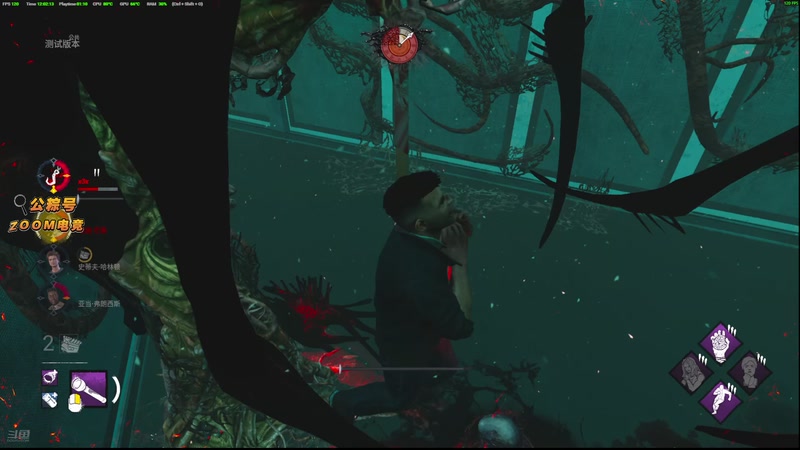 【2026-01-07 12点场】小白鸽WhiteDove：x3 : 杀鸡新屠敷