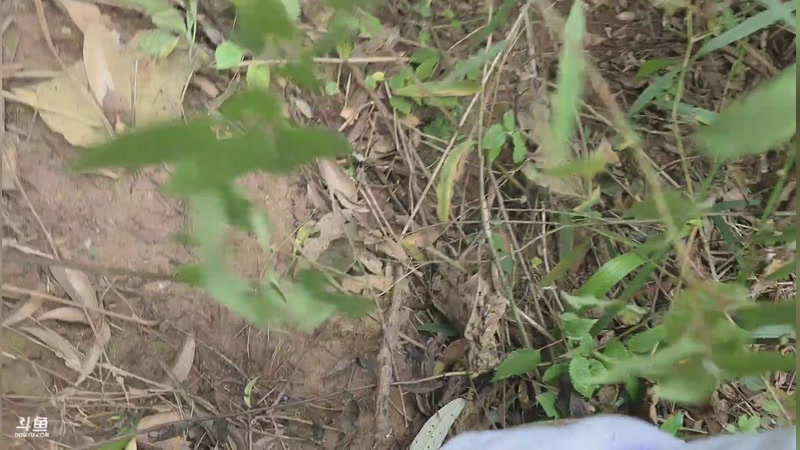 【2026-01-07 12点场】757户外：757女团S7 10.30开播