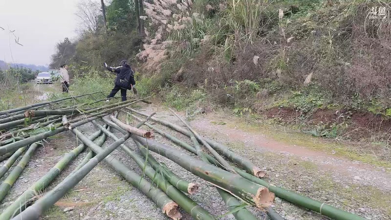 【2026-01-07 17点场】菜到极致小兰摧：【黄金双倍】闪现757>u<