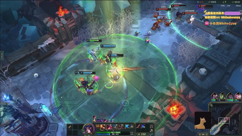 【2026-01-06 21点场】小白鸽WhiteDove：【小白鸽】来啦来啦！