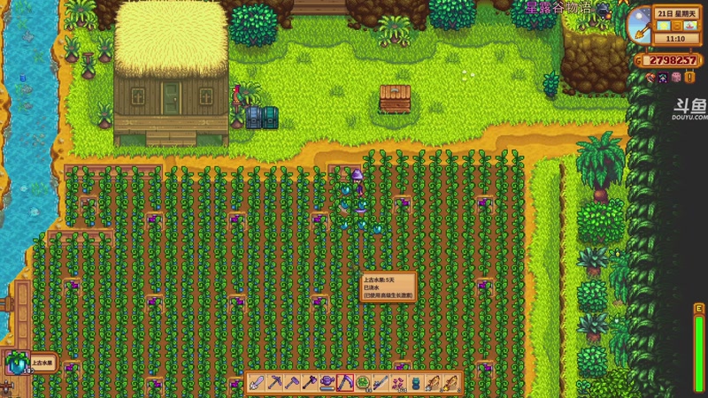 【2026-01-07 19点场】荣耀洋洋：【洋洋】小众，独立，单机游戏！