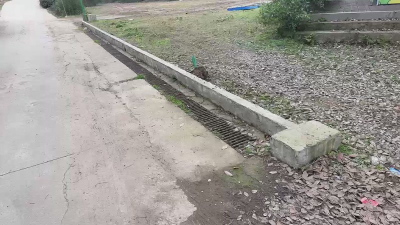 【2026-01-07 14点场】菜到极致小兰摧：【黄金双倍】闪现757>u<