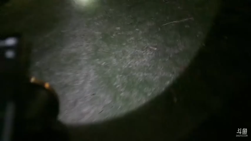 【2026-01-07 21点场】小皮【南波家族】：阳光开朗积极向上！