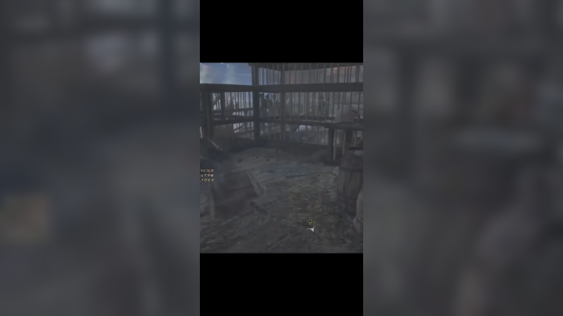 霍格沃兹之遗双龙戏珠#霍格沃兹之遗 #霍格沃茨之遗实机演示