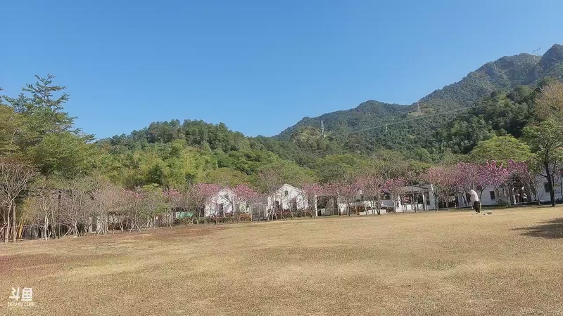 【2026-01-08 13点场】小皮【南波家族】：今天会发生什么呢？ovo