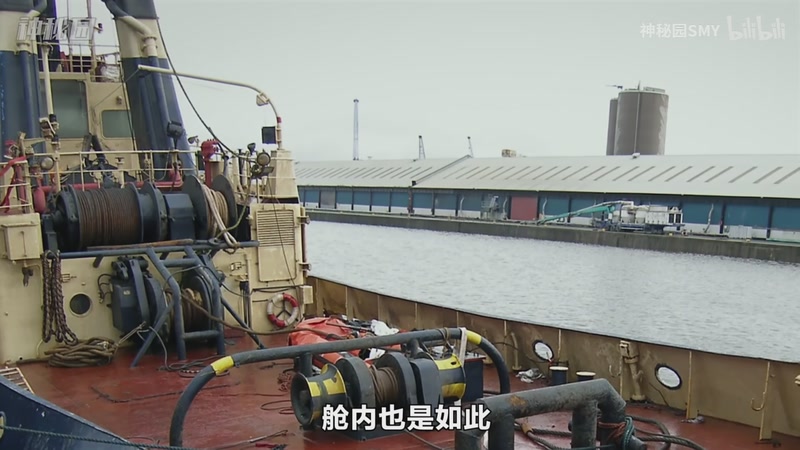 【2026-01-07 22点场】猫叔灬灬：【猫叔】勇者斗恶龙7 试玩版来啦~~~