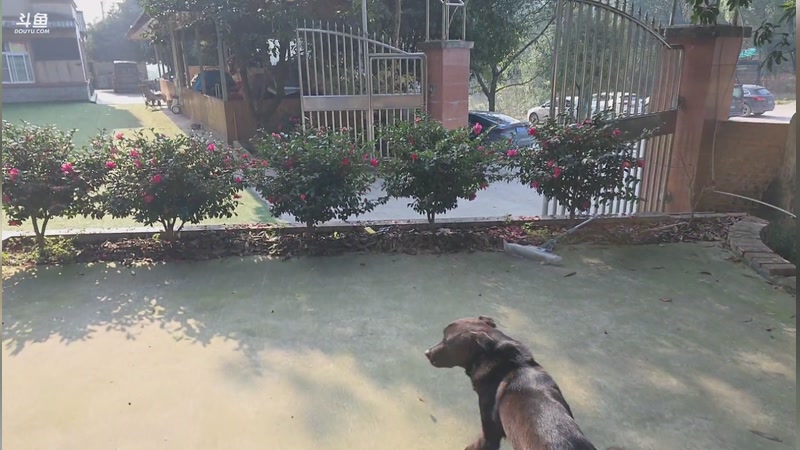 【2026-01-09 完整版】757户外：【非常互娱】757女团S7 娱乐季~