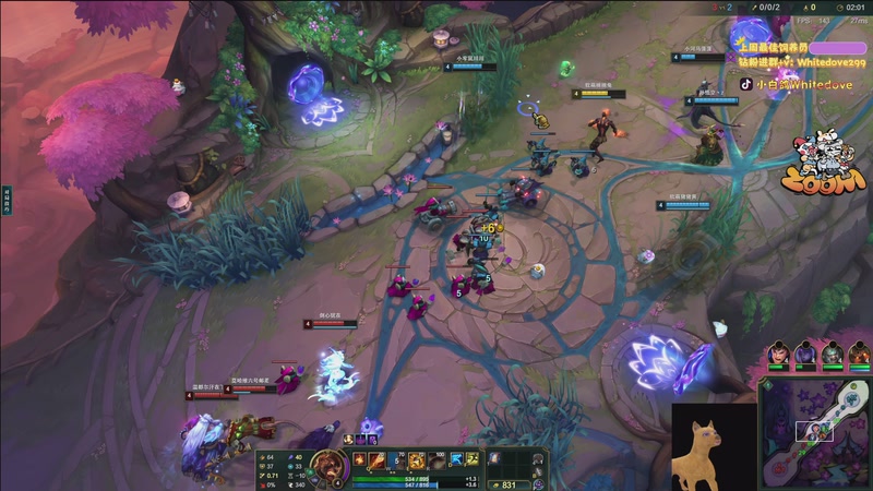 【2026-01-08 21点场】小白鸽WhiteDove：【小白鸽】大乱斗八连胜的神！