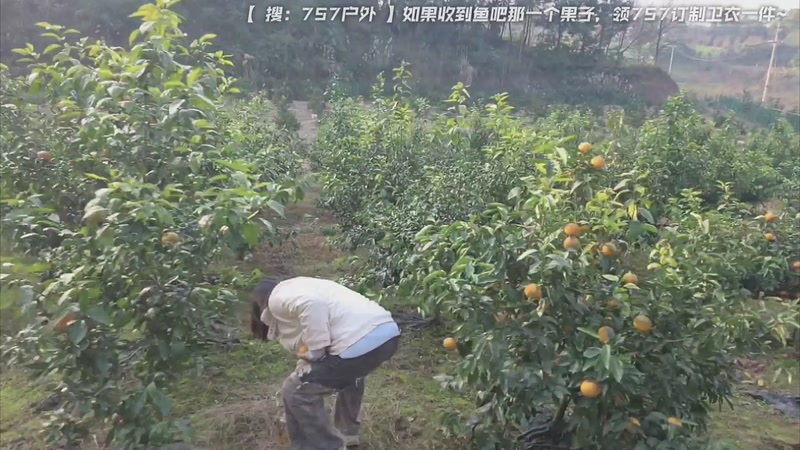 【2026-01-09 16点场】757户外：【非常互娱】757女团S7 娱乐季~