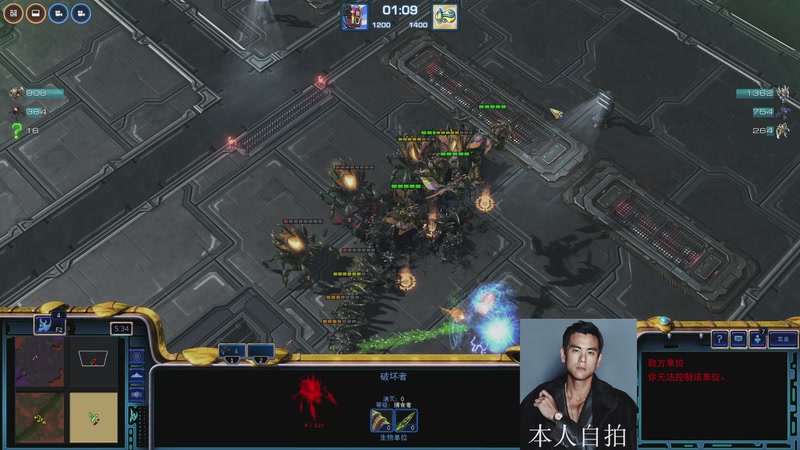 【2026-01-09 13点场】蓝桉LLan：蓝桉：早起的雄鹰