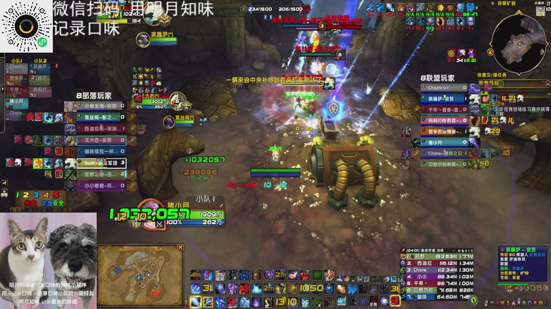 【2026-01-08 23点场】猪猪猪猪猪猪猪小月：打个闪电战你别这么多币话