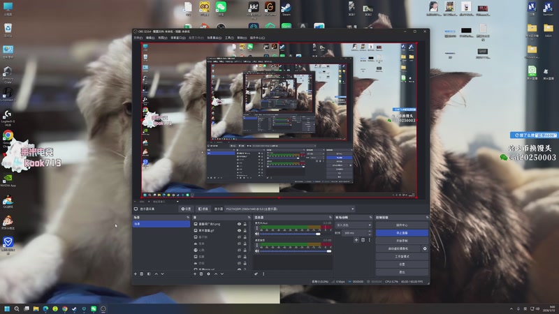 【2026-01-13 09点场】狐狸不太Sao：斗鱼第一赘婿！ 6696