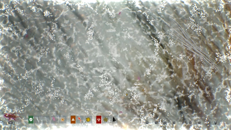 【2026-01-14 19点场】寅子：13点播。。。。