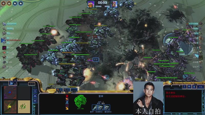 【2026-01-13 15点场】蓝桉LLan：蓝桉：早晚都得起的雄鹰