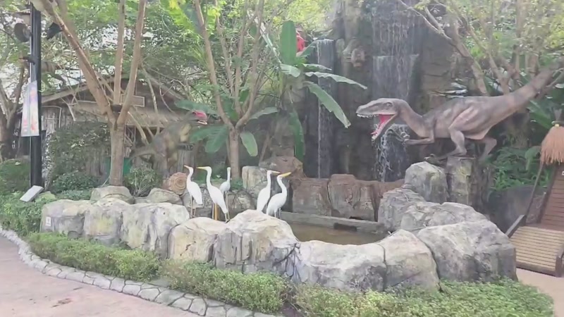 【2026-01-15 14点场】757户外：【非常互娱】757女团S7 娱乐季~