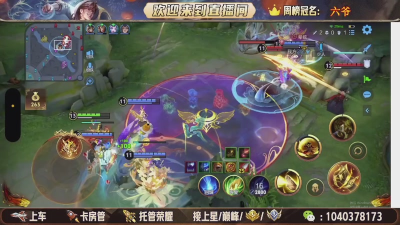 【2026-01-17 20点场】狗蛋吖丶：新赛季带粉上车，任意分段有位