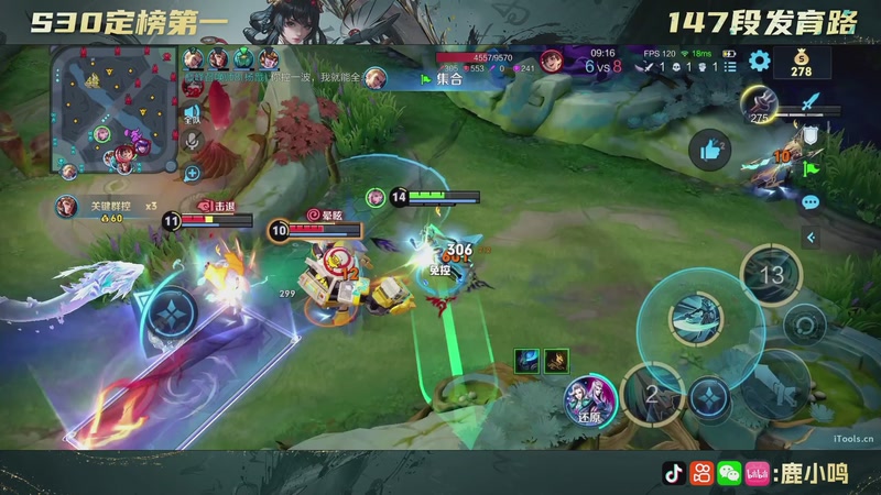 【2026-01-17 23点场】鹿小鸣l：无需鸟标证明 10040721