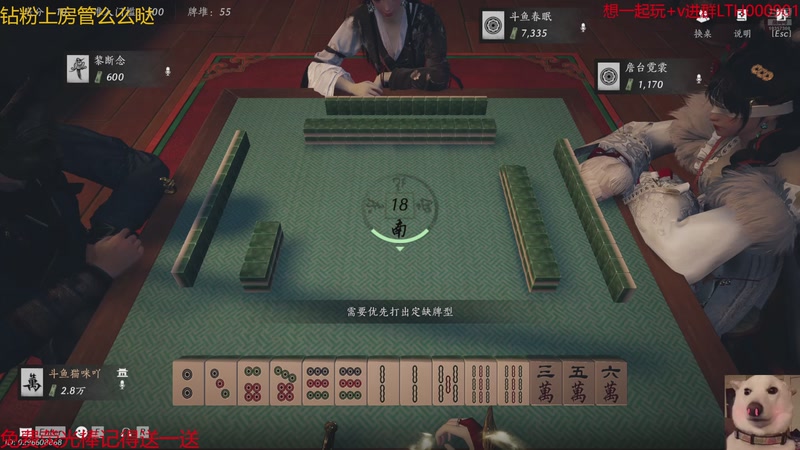 【2026-01-21 05点场】是猫咪吖丶：小揪揪来咯么么哒