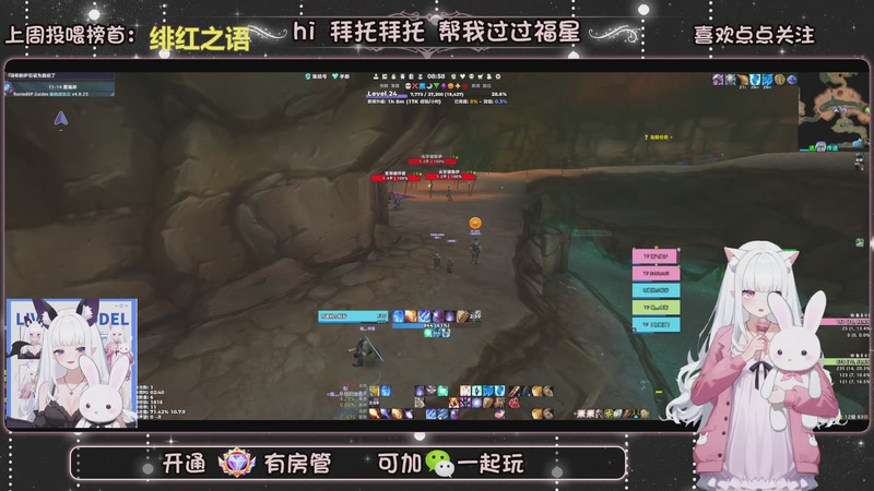 【2026-01-25 08点场】张小谷丶：猎人 奶德 小法师练级中