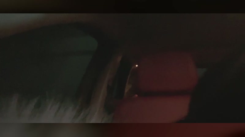 【2026-01-31 完整版】我不是Tulip：你们怎么知道我小黑暴走了？